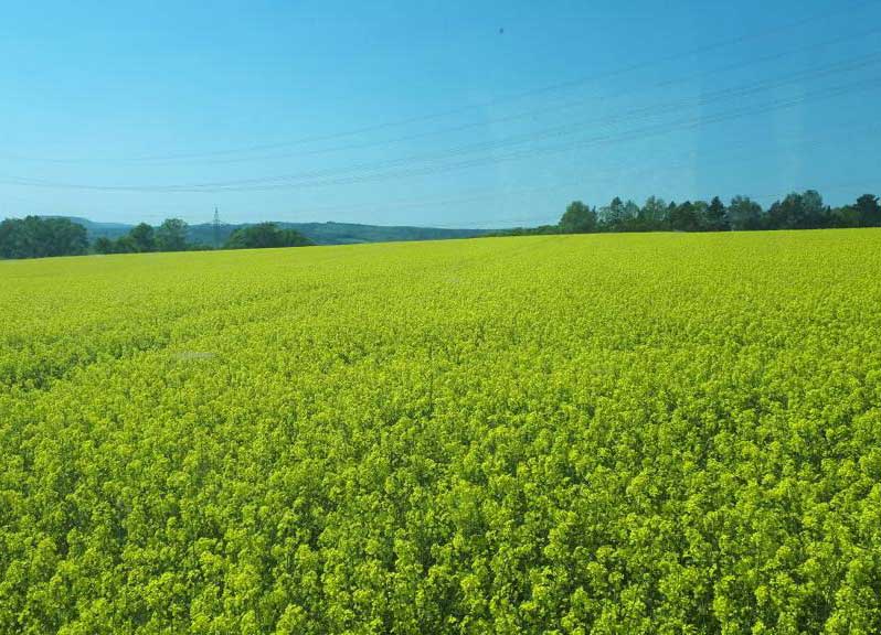  Karolinenhof in Künzell - Landwirtschaft & Services